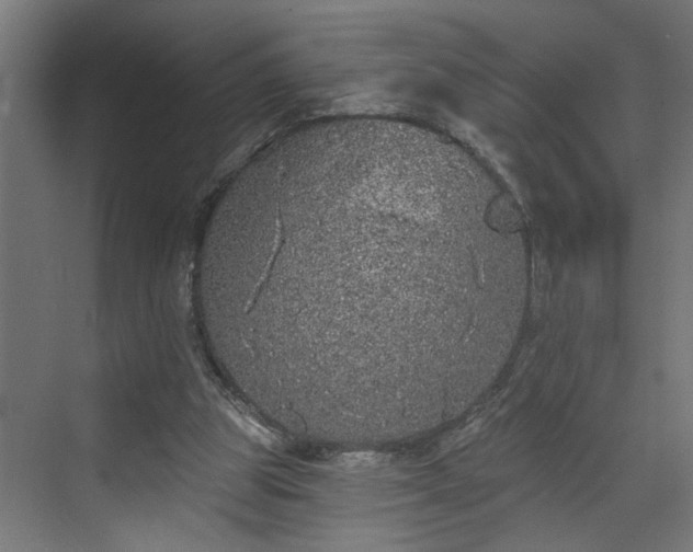 X0000072510153200607211406