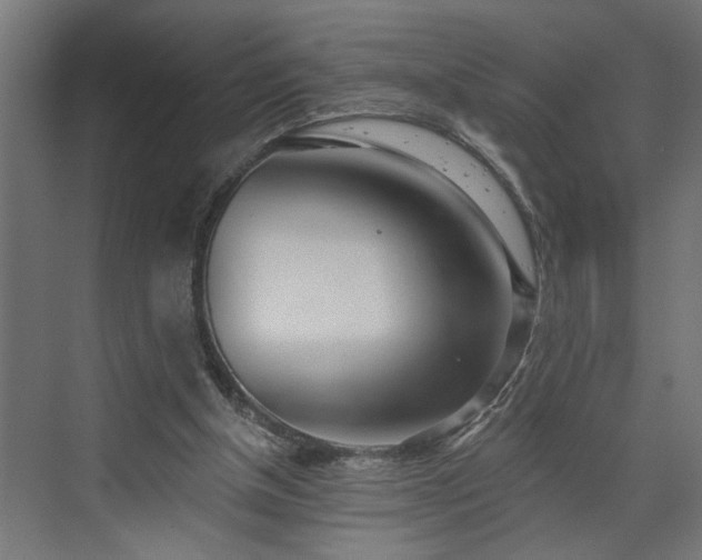 X0000072510154200607211406