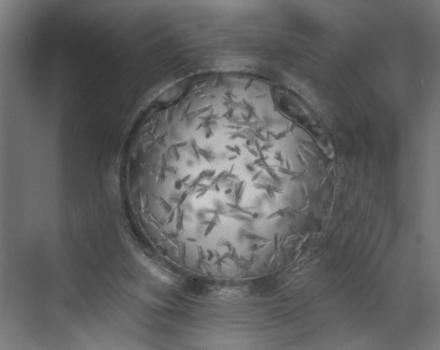 X0000072510155200607211406