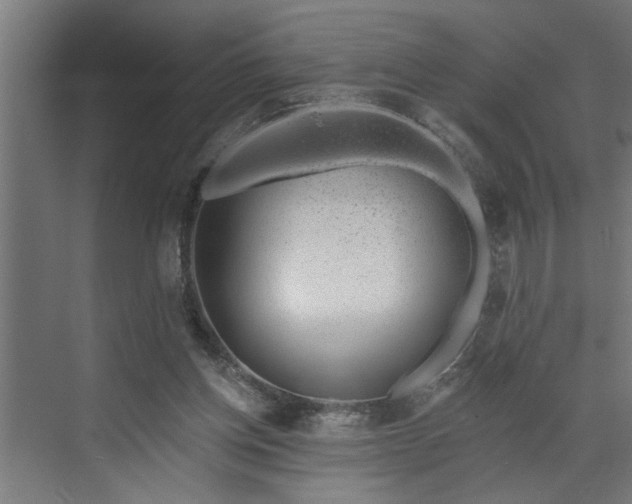 X0000072510158200607211406