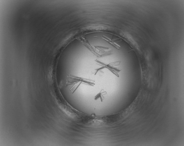 X0000072510159200607211406