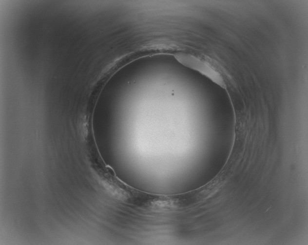 X0000072510160200607211406