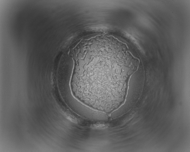 X0000072510161200607211406