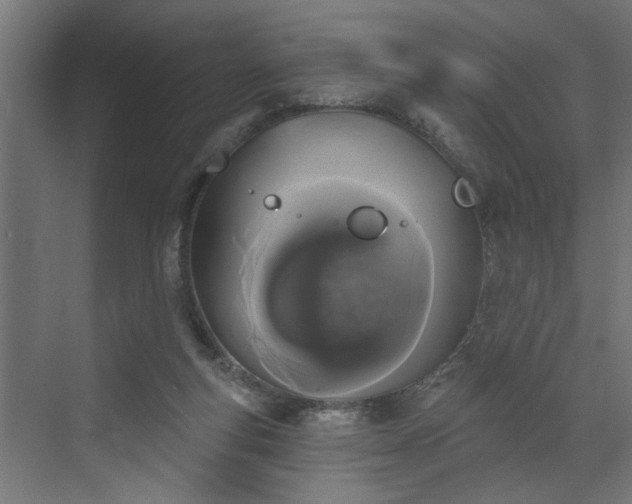 X0000072510163200607211406