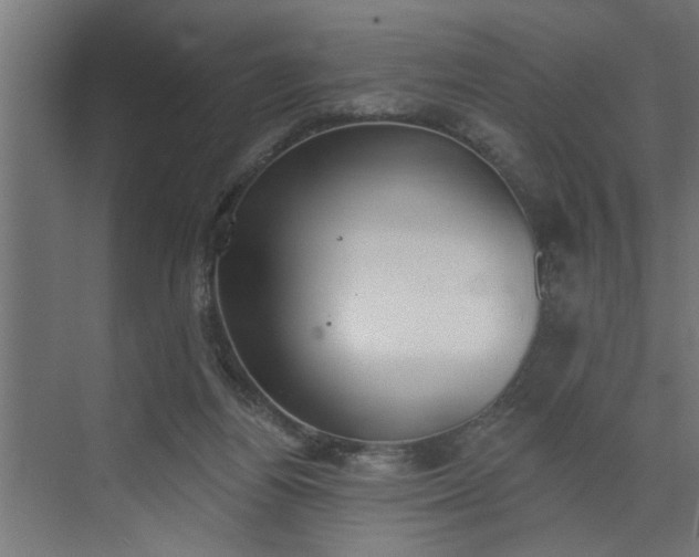 X0000072510164200607211406