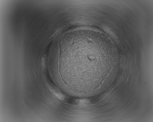 X0000072510165200607211406