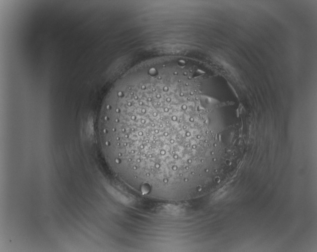 X0000072510166200607211406