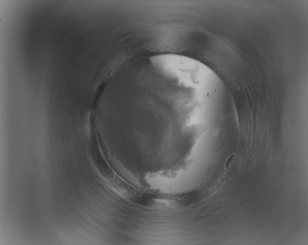 X0000072510167200607211406