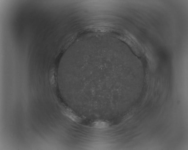 X0000072510169200607211406