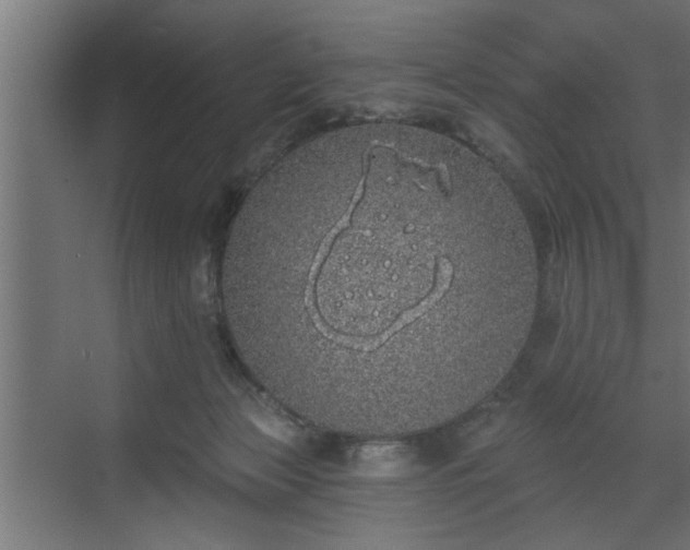 X0000072510173200607211407