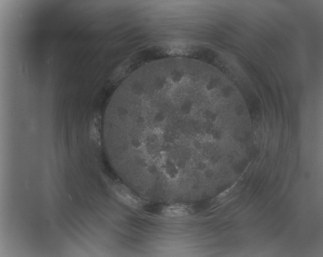 X0000072510175200607211407