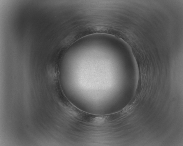 X0000072510176200607211407