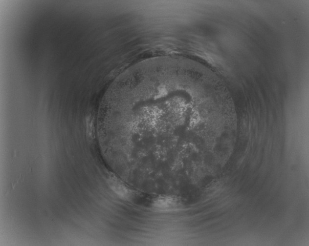 X0000072510177200607211407