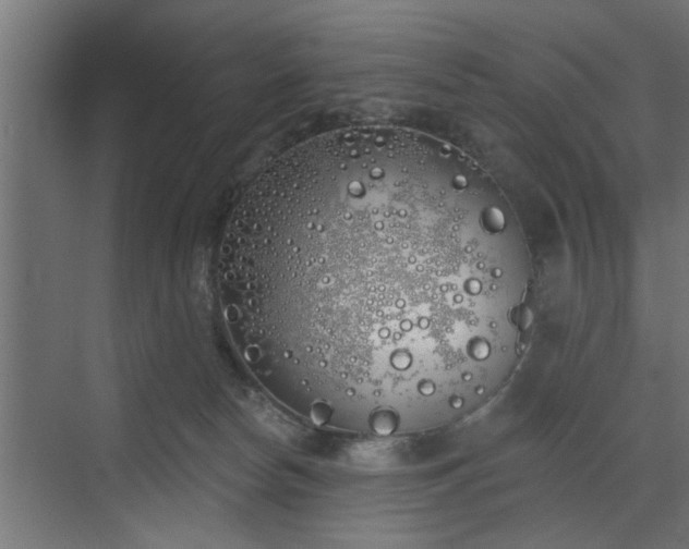 X0000072510178200607211407