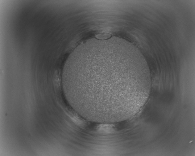 X0000072510179200607211407