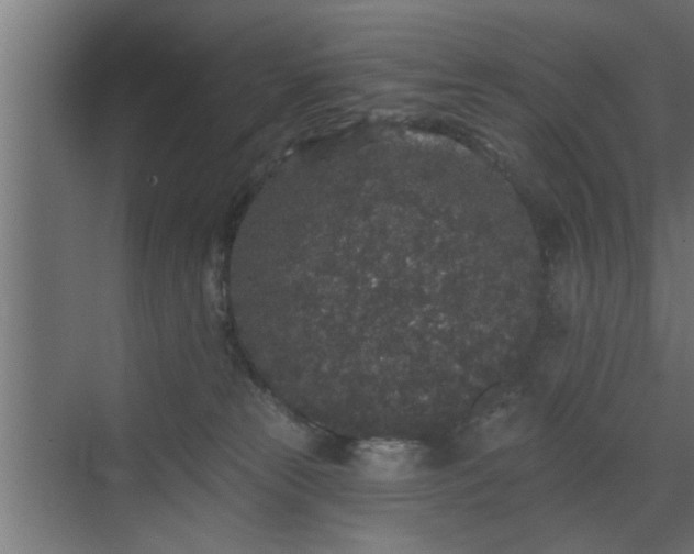 X0000072510181200607211407