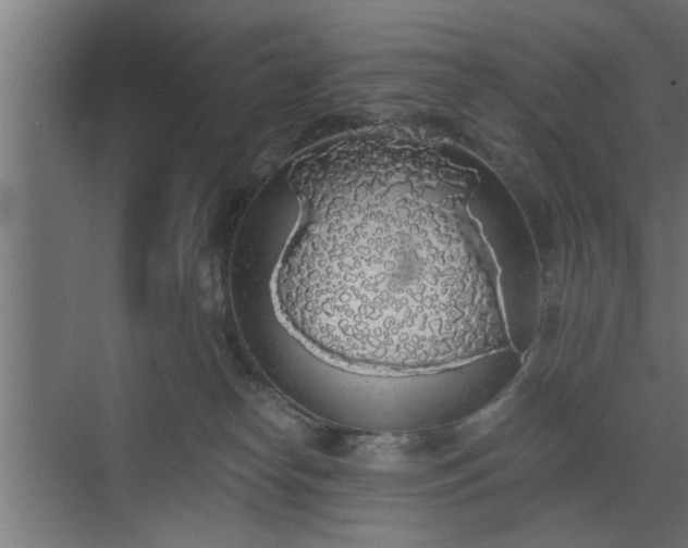 X0000072510182200607211407