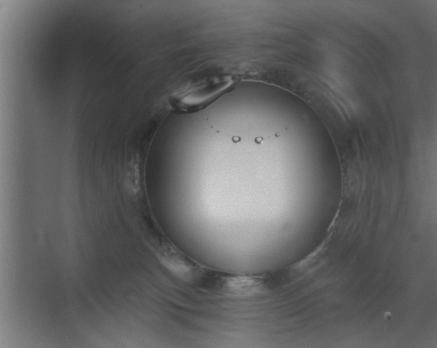 X0000072510183200607211407