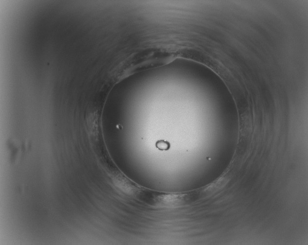 X0000072510184200607211407