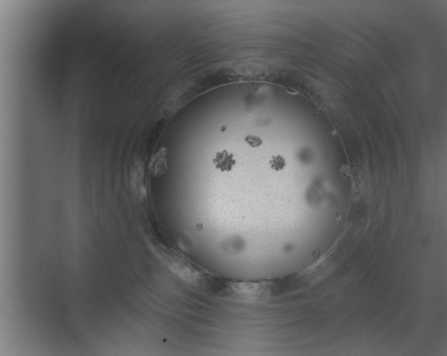 X0000072510187200607211407