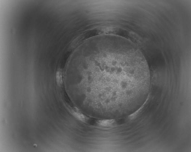 X0000072510191200607211407