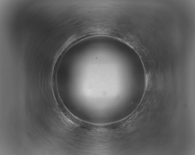 X0000072510195200607211406