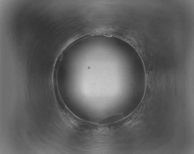 X0000072510196200607211406