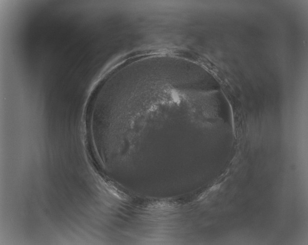 X0000072510198200607211406