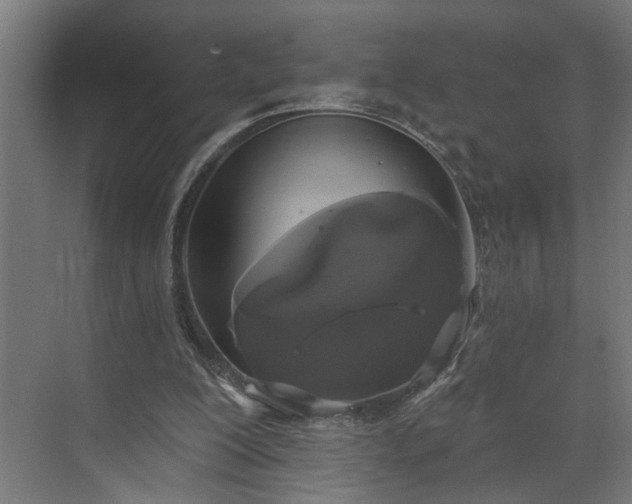 X0000072510200200607211406