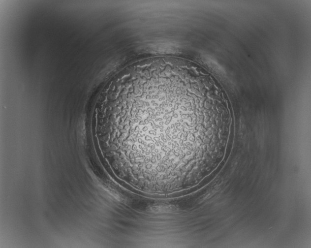 X0000072510202200607211406