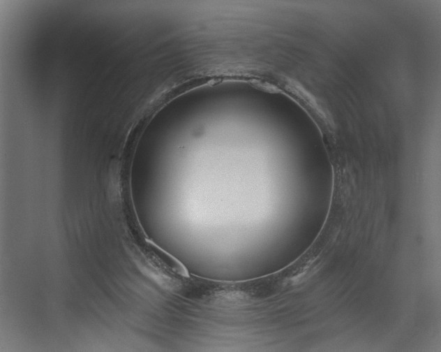 X0000072510203200607211406