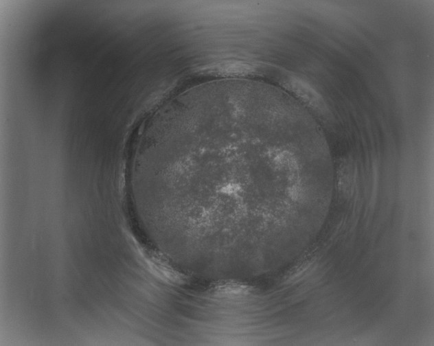 X0000072510206200607211406