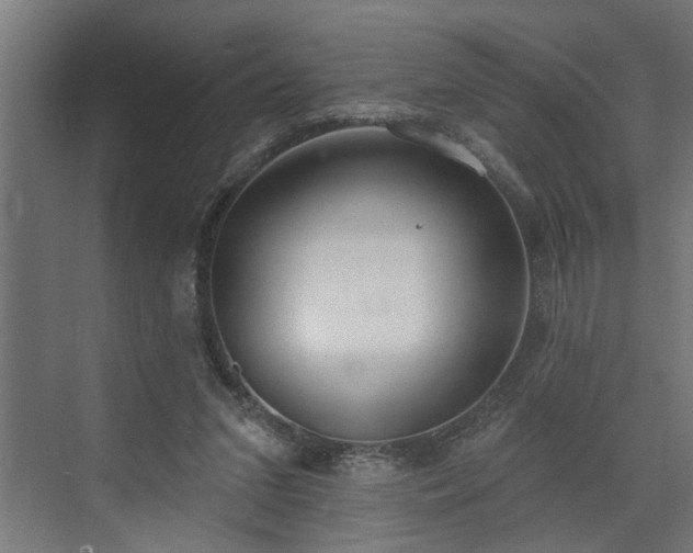 X0000072510207200607211406