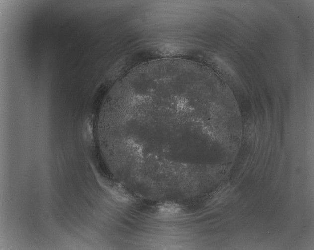 X0000072510214200607211406