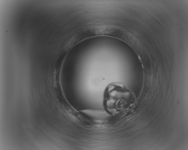 X0000072510219200607211406