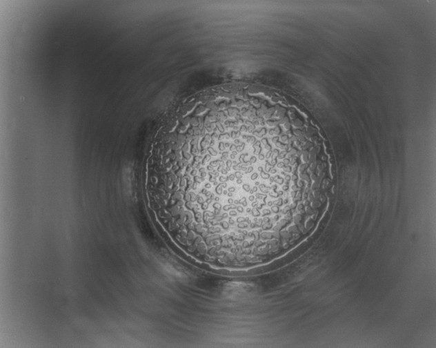 X0000072510222200607211406