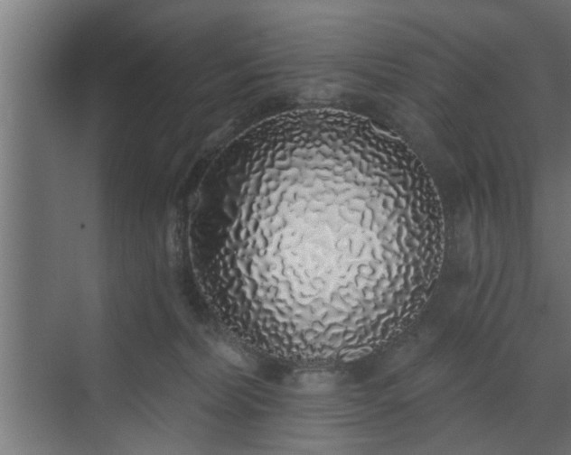 X0000072510228200607211405