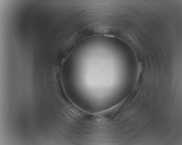 X0000072510229200607211405