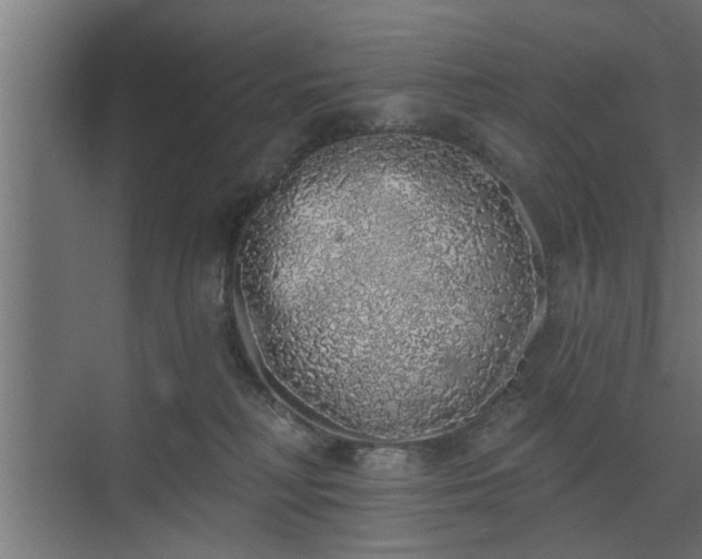 X0000072510230200607211405