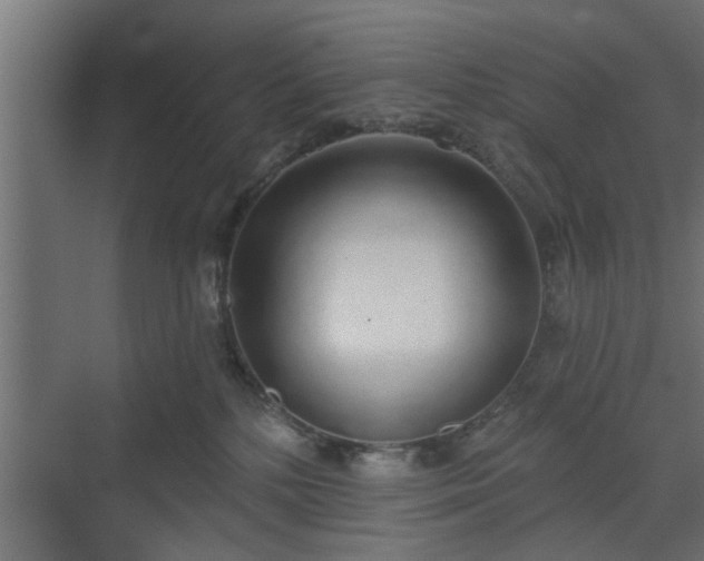 X0000072510232200607211405