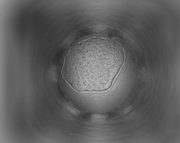 X0000072510234200607211405