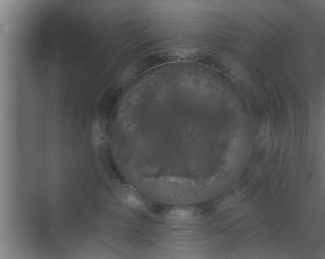 X0000072510236200607211405