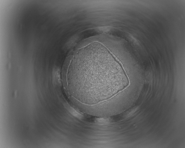 X0000072510238200607211405