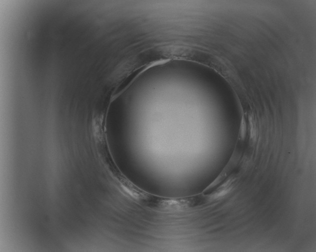 X0000072510239200607211405