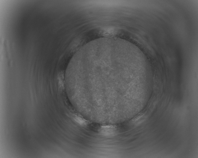 X0000072510240200607211405