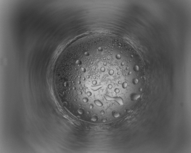 X0000072510241200607211404