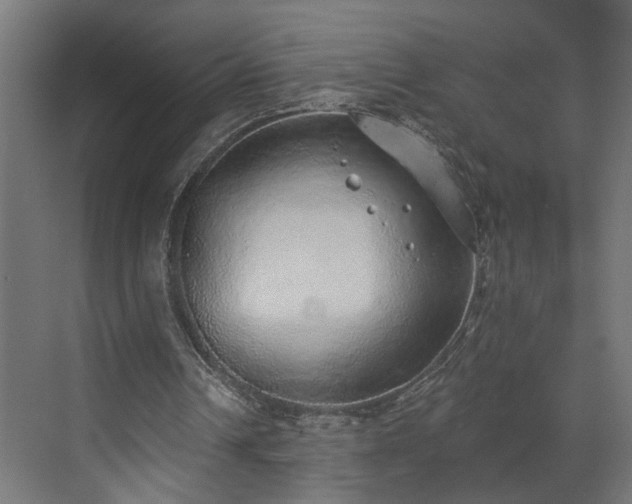 X0000072510242200607211404