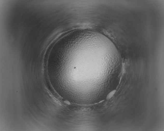 X0000072510243200607211405