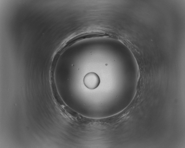 X0000072510244200607211405