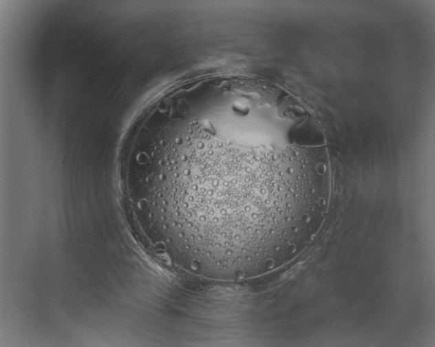 X0000072510245200607211405